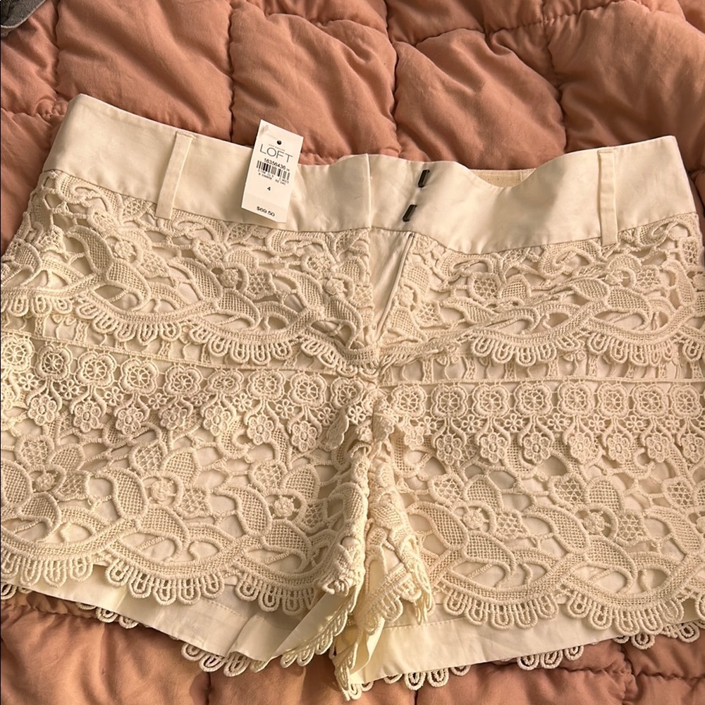 LOFT Cream Lace Women Shorts